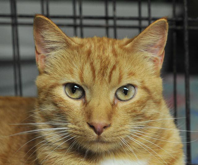 Quincy